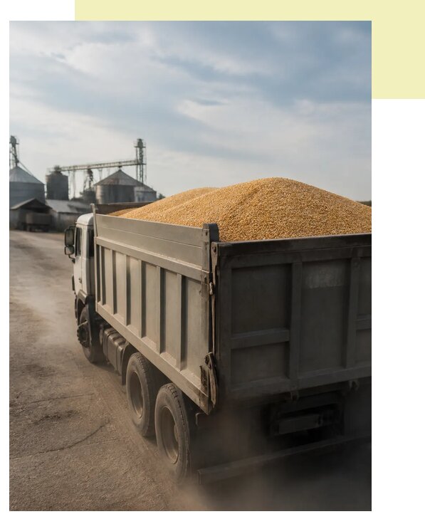 Перевозка сельхозпродукции навалом в Миасс по цене от 3051 р. | Агросервис-Мсс